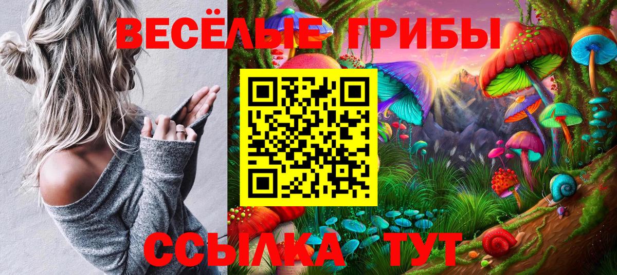 Галлюциногенные грибы Cubensis Гагарин
